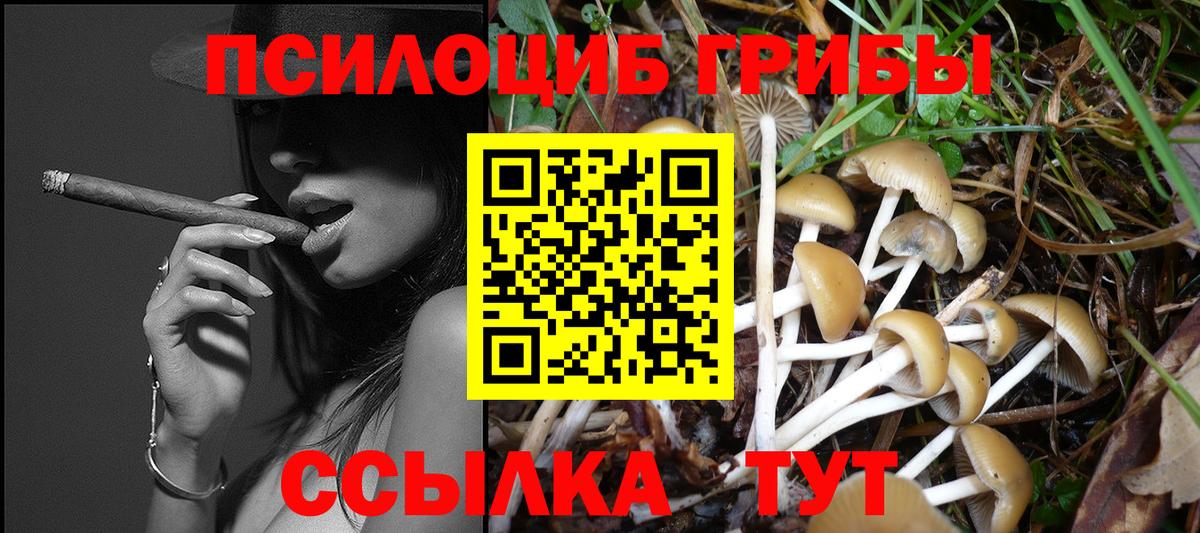 Галлюциногенные грибы мицелий Чита