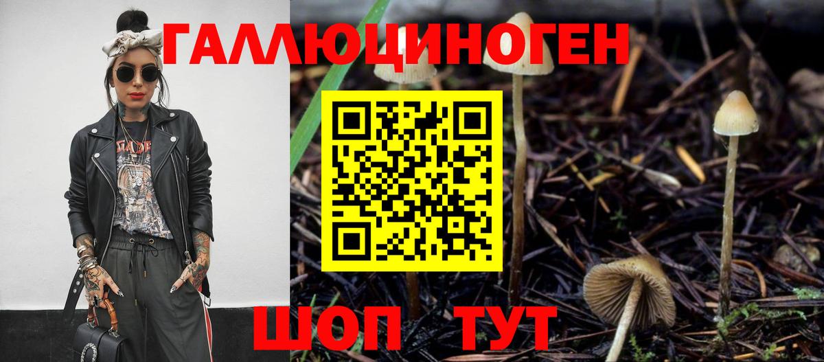Псилоцибиновые грибы прущие грибы  Вход с VPN  сколько стоит  Чита 